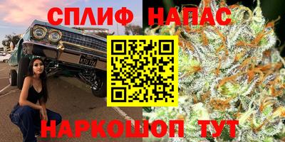 дживик Ливны
