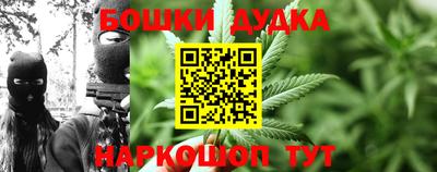 прущие крисы Лесосибирск