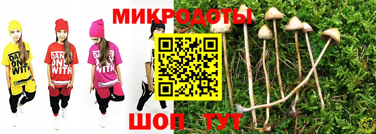 купить закладку  Вход с VPN  Гусиноозёрск  Галлюциногенные грибы Psilocybine cubensis 
